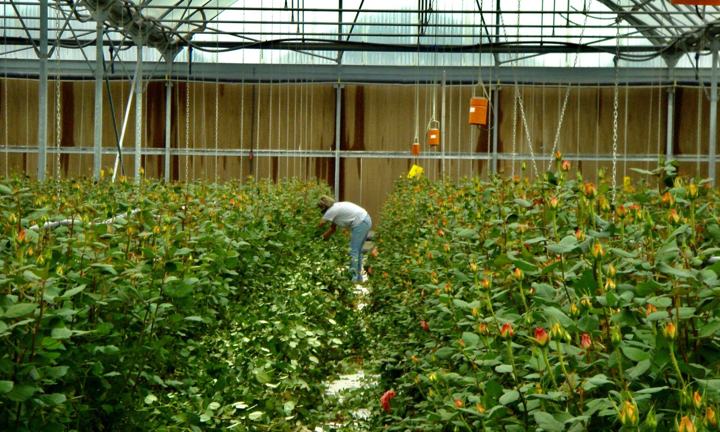 foto lavoratorijpg foto lavoratorijpg